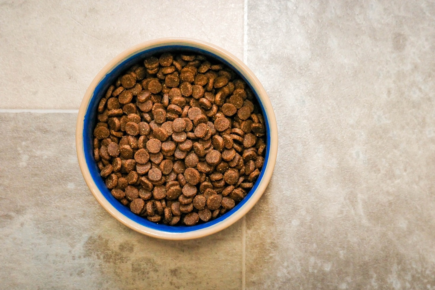 Consigli per una nutrizione equilibrata del tuo cane